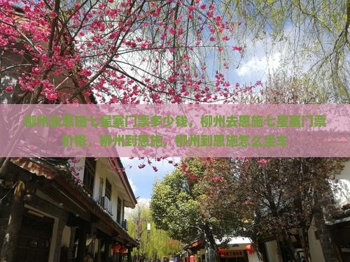 柳州去恩施七星寨门票