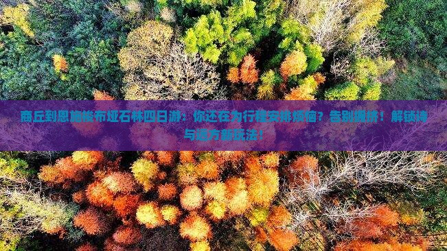 商丘到恩施梭布垭石林四日游