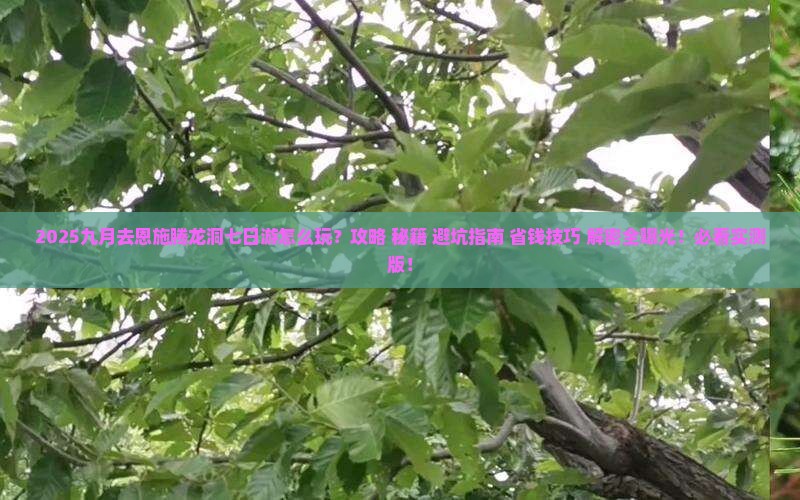 九月去恩施腾龙洞七日游