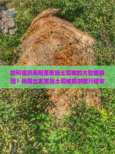 如何组织衡阳至恩施土司城的大型旅游团？衡阳出发恩施土司城旅游团行程安排及预订指南