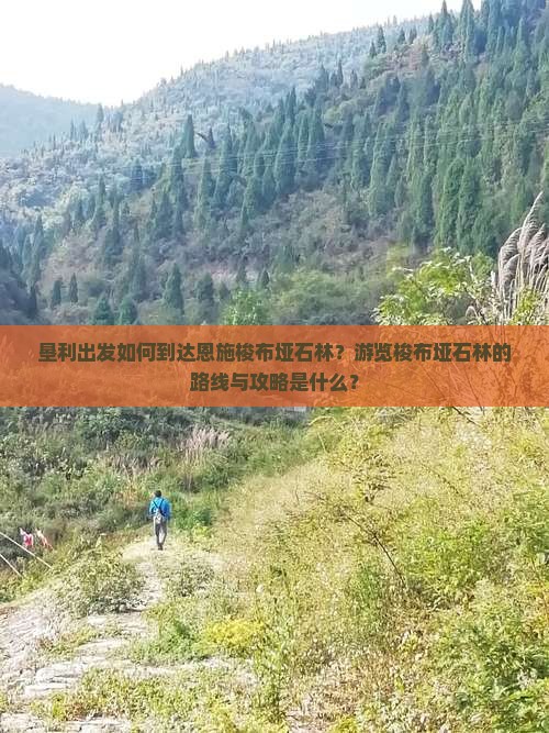 垦利出发如何到达恩施梭布垭石林？游览梭布垭石林的路线与攻略是什么？