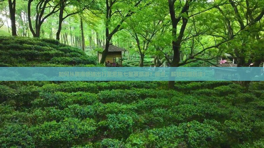 如何从陇南便捷出行至恩施七星寨旅游？痛点，解锁新潮玩法！