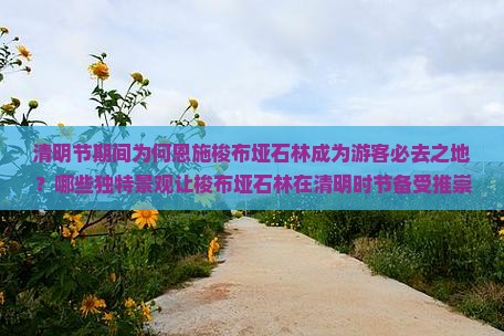清明节期间为何恩施梭布垭石林成为游客必去之地？哪些独特景观让梭布垭石林在清明时节备受推崇？