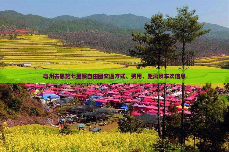 亳州去恩施七星寨自由团交通方式、费用、距离及车次信息