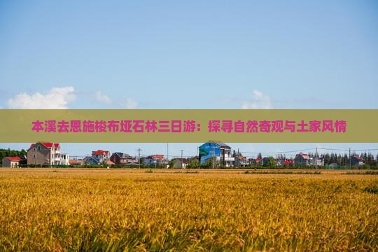 本溪去恩施梭布垭石林三日游：探寻自然奇观与土家风情