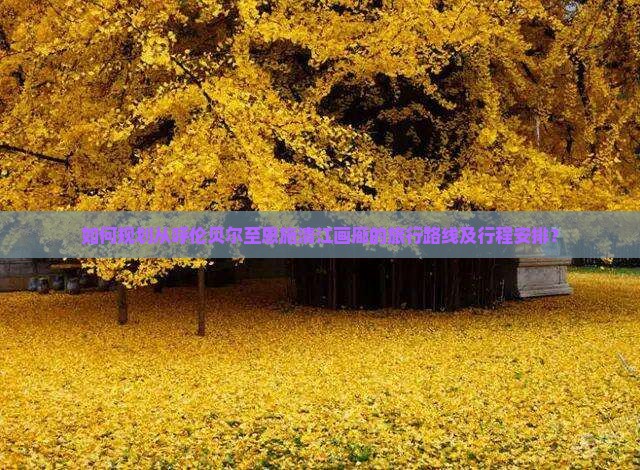 如何规划从呼伦贝尔至恩施清江画廊的旅行路线及行程安排？