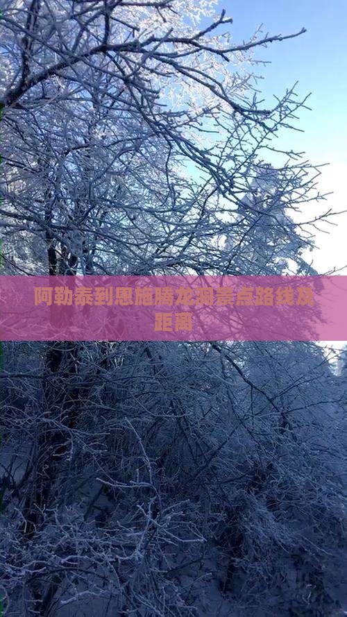 阿勒泰到恩施腾龙洞景点路线及距离