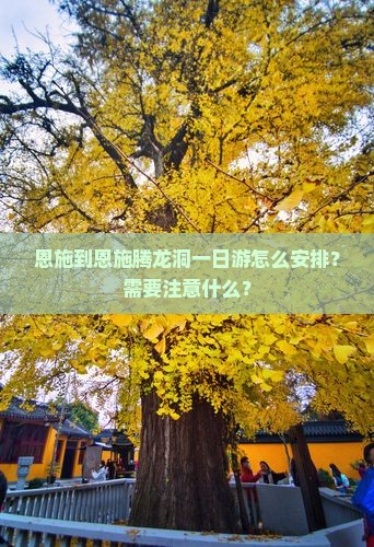 恩施到恩施腾龙洞一日游怎么安排？需要注意什么？