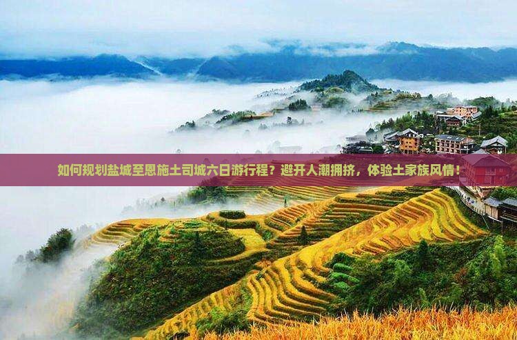 如何规划盐城至恩施土司城六日游行程？避开人潮拥挤，体验土家族风情！