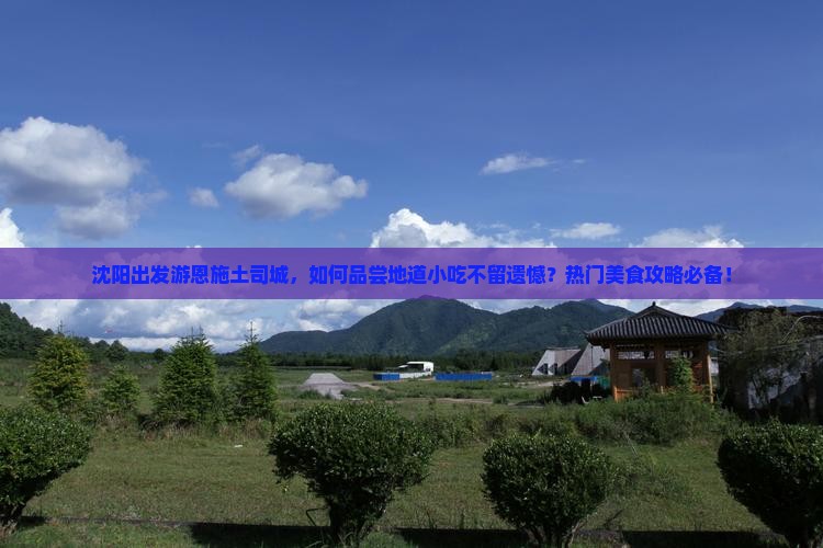 沈阳出发游恩施土司城，如何品尝地道小吃不留遗憾？热门美食攻略必备！