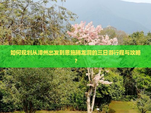 如何规划从漳州出发到恩施腾龙洞的三日游行程与攻略？