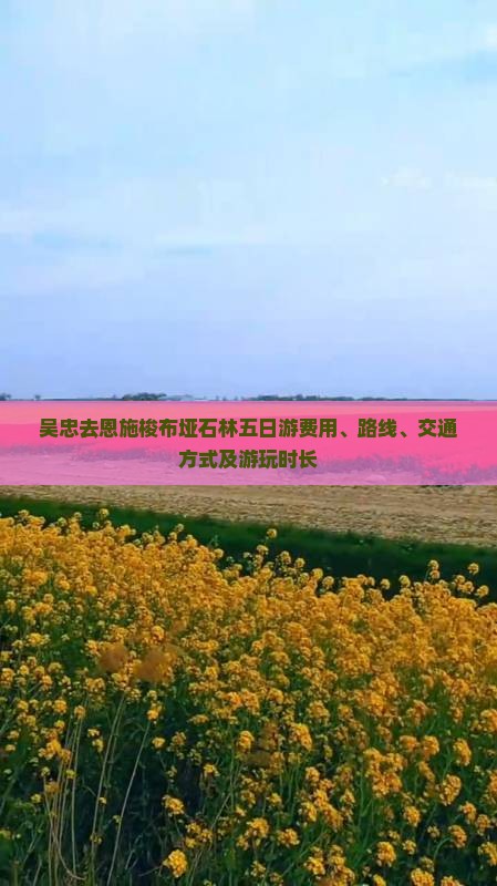 吴忠去恩施梭布垭石林五日游费用、路线、交通方式及游玩时长
