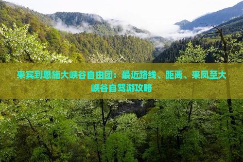 来宾到恩施大峡谷自由团：最近路线、距离、来凤至大峡谷自驾游攻略