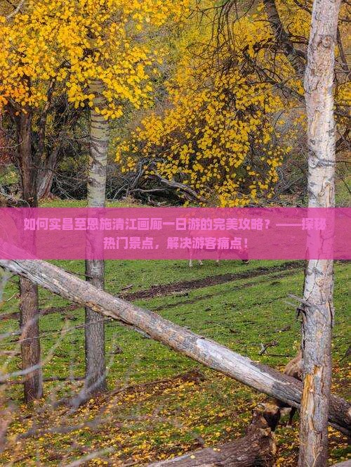 如何实昌至恩施清江画廊一日游的完美攻略？——探秘热门景点，解决游客痛点！