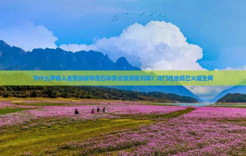为什么伊春人去恩施梭布垭石林景点旅游更划算？冷门胜地现已火遍全网
