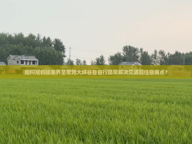如何规划张家界至恩施大峡谷自由行路犀解决交通和住宿痛点？