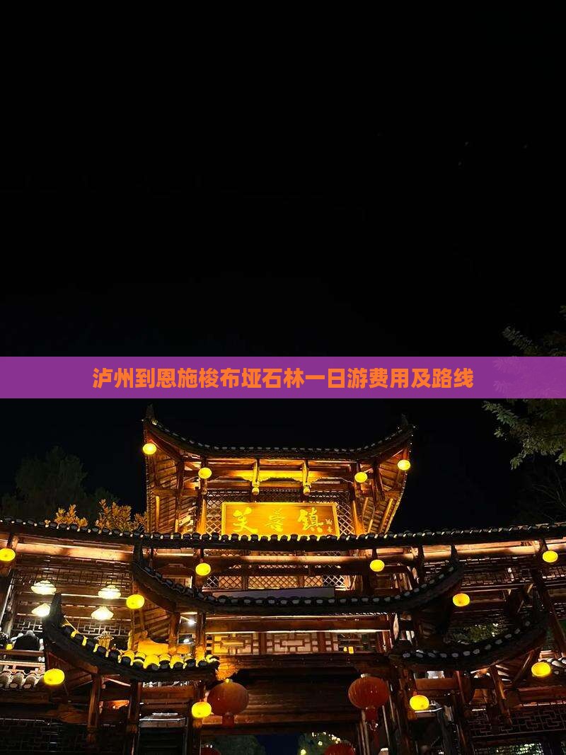 泸州到恩施梭布垭石林一日游费用及路线