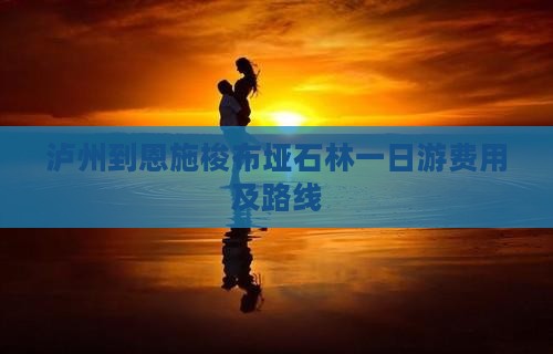 泸州到恩施梭布垭石林一日游费用及路线