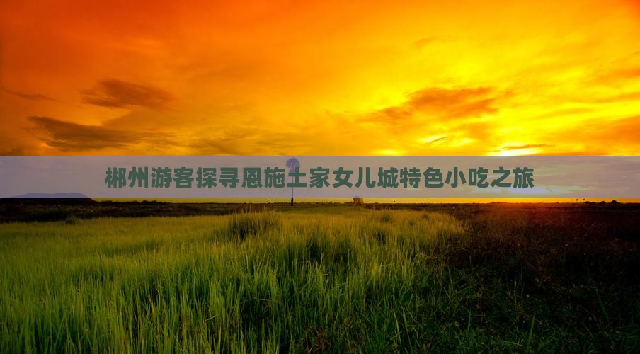 郴州游客探寻恩施土家女儿城特色小吃之旅