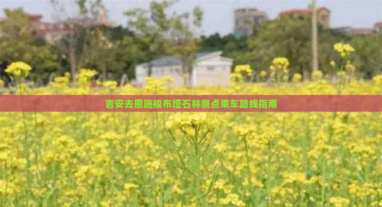 吉安去恩施梭布垭石林景点乘车路线指南
