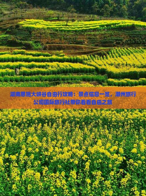湖南恩施大峡谷自由行攻略：景点信息一览，潮州旅行公司国际旅行社带你看看自由之旅