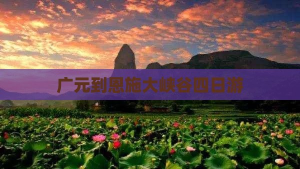 广元到恩施大峡谷四日游