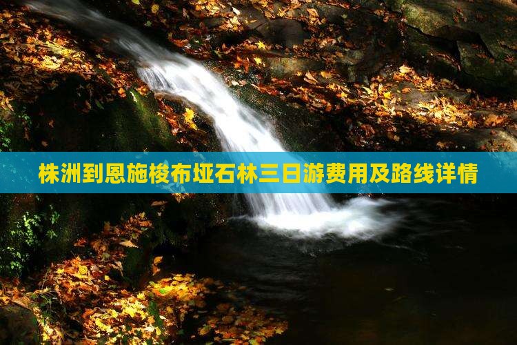 株洲到恩施梭布垭石林三日游费用及路线详情