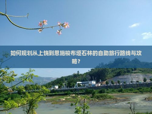 如何规划从上饶到恩施梭布垭石林的自助旅行路线与攻略？