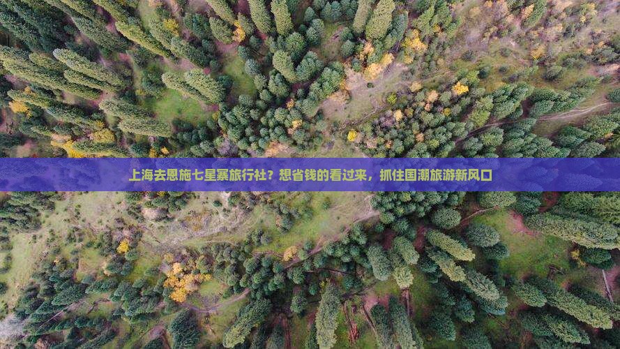 上海去恩施七星寨旅行社？想省钱的看过来，抓住国潮旅游新风口