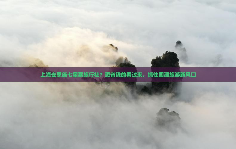 上海去恩施七星寨旅行社？想省钱的看过来，抓住国潮旅游新风口