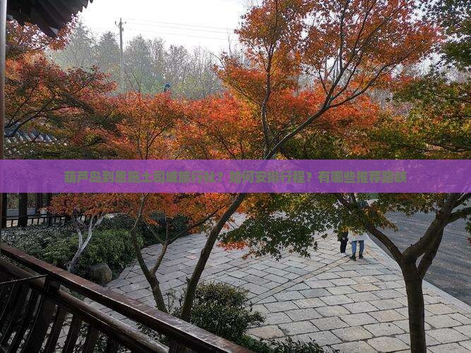 葫芦岛到恩施土司城旅行社？如何安排行程？有哪些推荐路峡