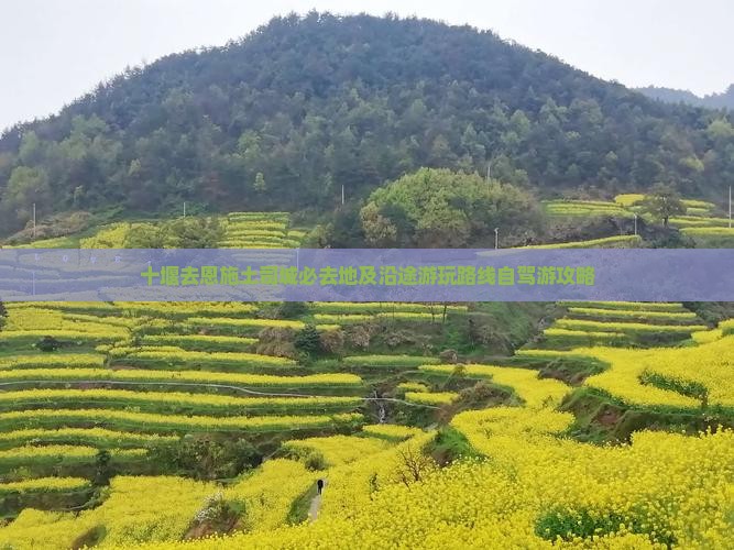十堰去恩施土司城必去地及沿途游玩路线自驾游攻略