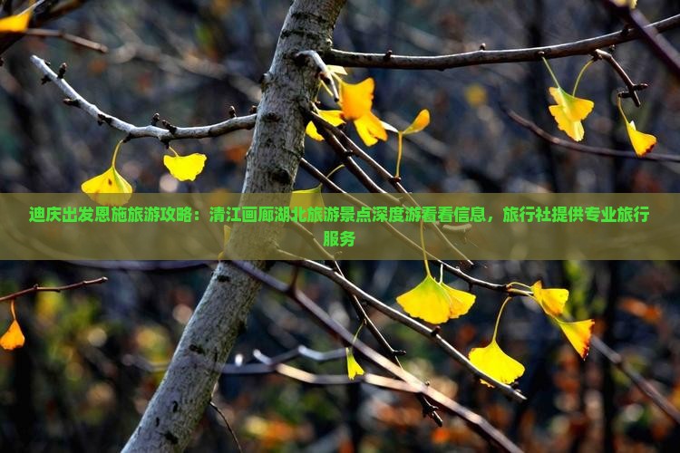 迪庆出发恩施旅游攻略：清江画廊湖北旅游景点深度游看看信息，旅行社提供专业旅行服务