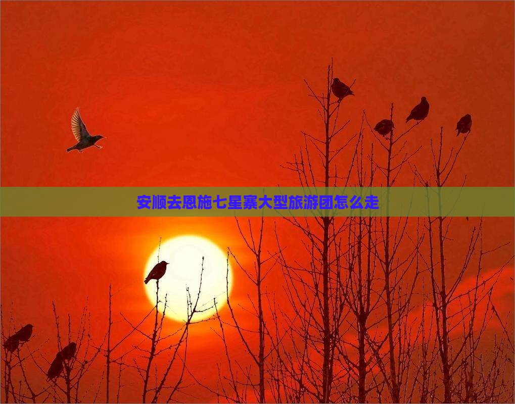 安顺去恩施七星寨大型旅游团怎么走