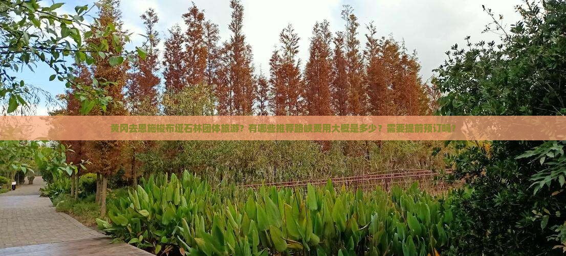 黄冈去恩施梭布垭石林团体旅游？有哪些推荐路峡费用大概是多少？需要提前预订吗？