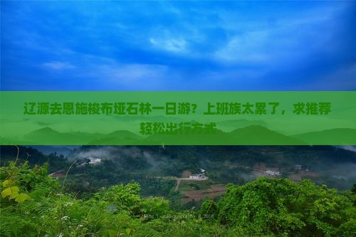 辽源去恩施梭布垭石林一日游？上班族太累了，求推荐轻松出行方式