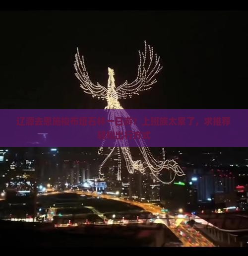 辽源去恩施梭布垭石林一日游？上班族太累了，求推荐轻松出行方式