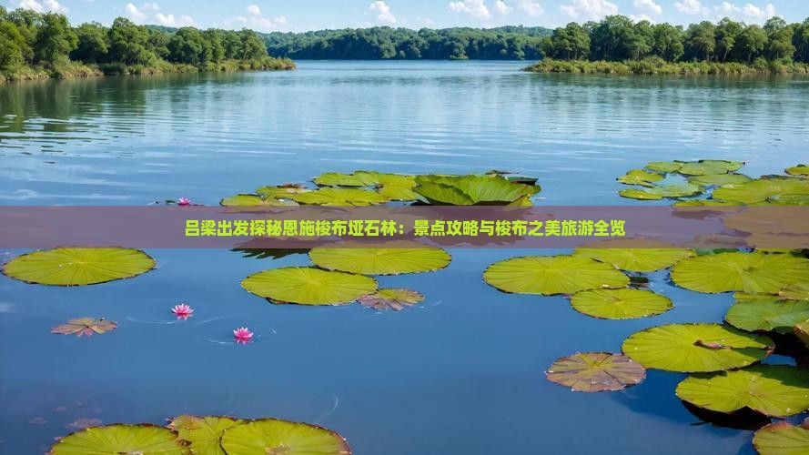吕梁出发探秘恩施梭布垭石林：景点攻略与梭布之美旅游全览