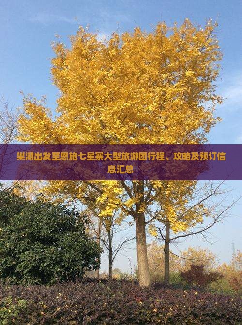 巢湖出发至恩施七星寨大型旅游团行程、攻略及预订信息汇总