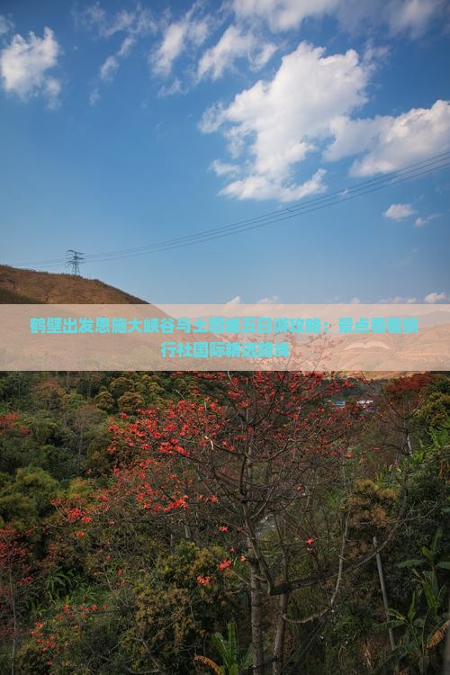 鹤壁出发恩施大峡谷与土司城五日游攻略：景点看看旅行社国际精选路线