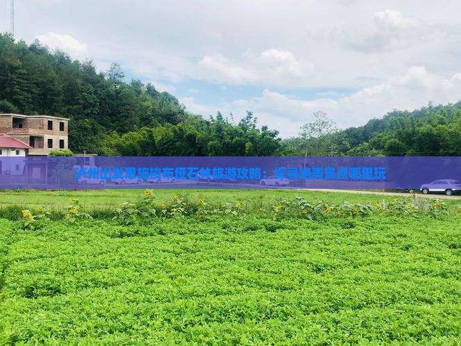泸州出发恩施梭布垭石林旅游攻略：探寻绝美景点哪里玩