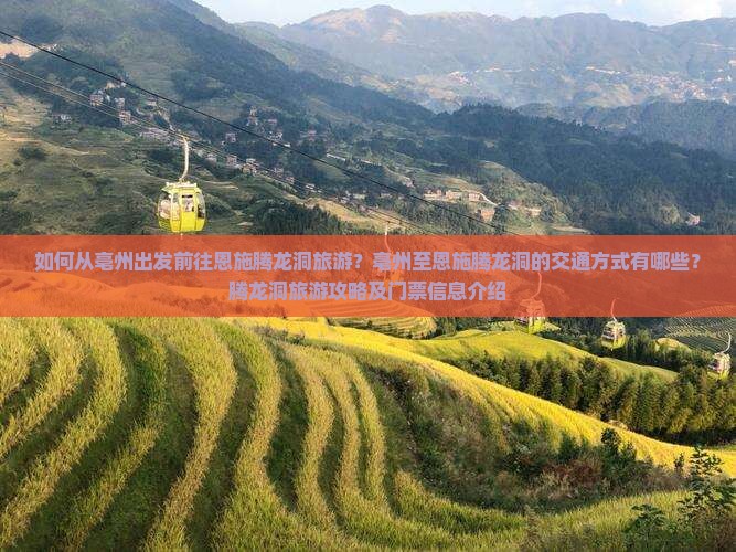如何从亳州出发前往恩施腾龙洞旅游？亳州至恩施腾龙洞的交通方式有哪些？腾龙洞旅游攻略及门票信息介绍
