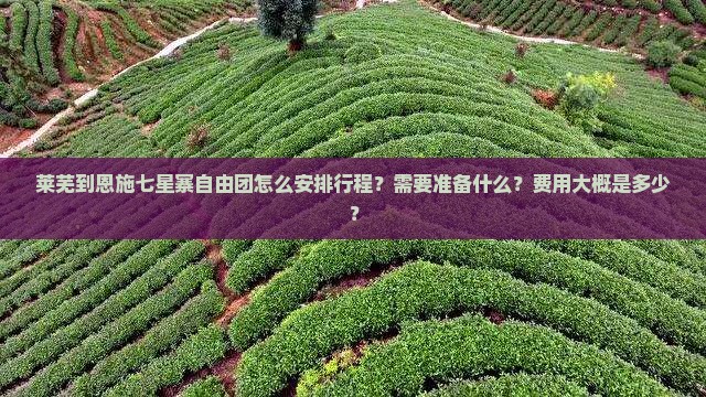 莱芜到恩施七星寨自由团怎么安排行程？需要准备什么？费用大概是多少？