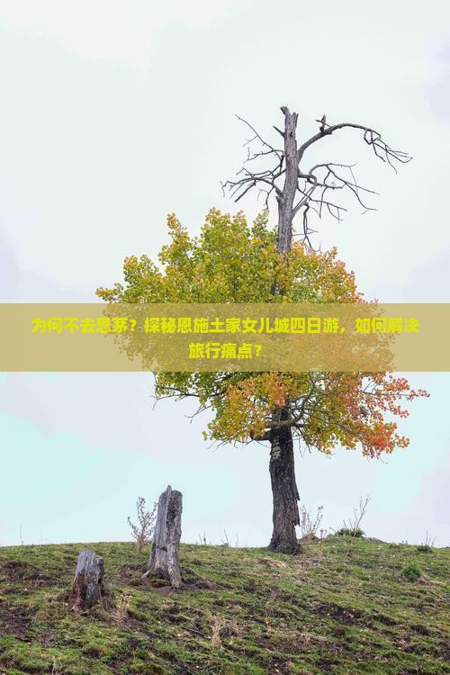 为何不去思茅？探秘恩施土家女儿城四日游，如何解决旅行痛点？