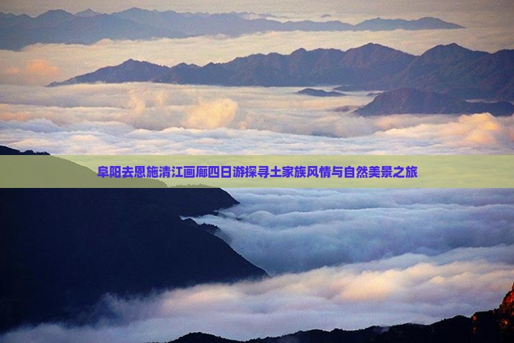 阜阳去恩施清江画廊四日游探寻土家族风情与自然美景之旅