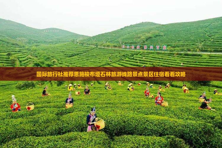 国际旅行社推荐恩施梭布垭石林旅游线路景点景区住宿看看攻略