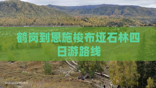 鹤岗到恩施梭布垭石林四日游路线