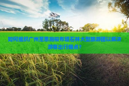 如何组织广州至恩施梭布垭石林大型旅游团以解决游客出行痛点？