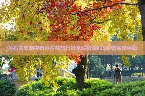 黄石去恩施梭布垭石林旅行社