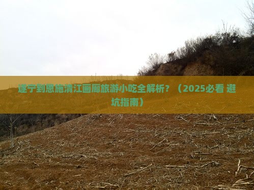 遂宁到恩施清江画廊旅游小吃